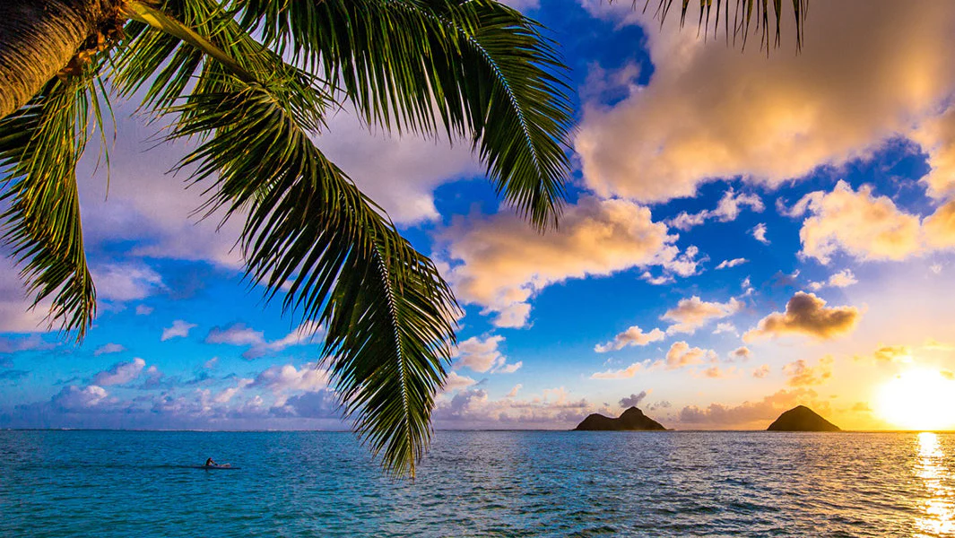 Natural Radiance, Affordable Luxury